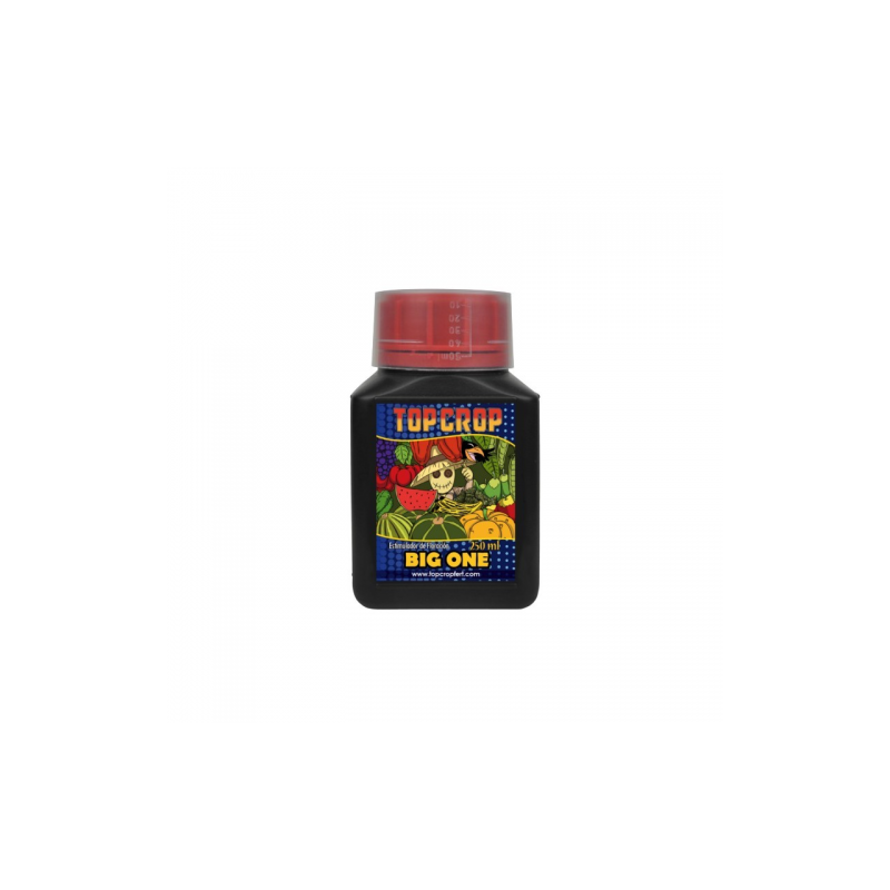 BIG ONE (12uds/caja) · One | Green Monkey Grow Shop