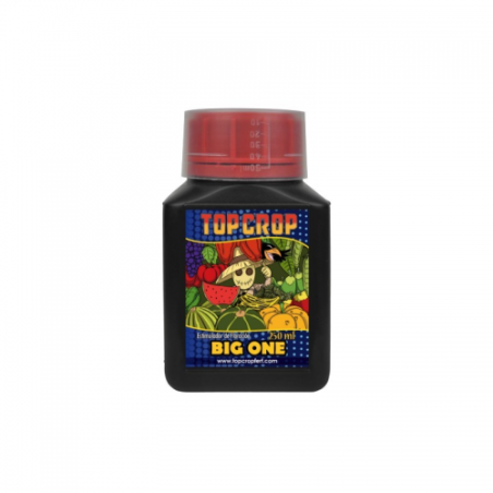 BIG ONE (12uds/caja) · One | Green Monkey Grow Shop