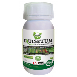 MASSOGREEN EQUISETUM 250cc