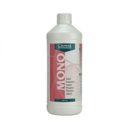 Fosforo 1 l canna