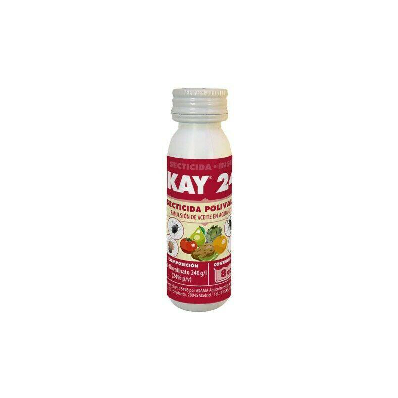 KAY 24 JED 8 cc