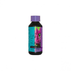 Blossom builder 1 l atami