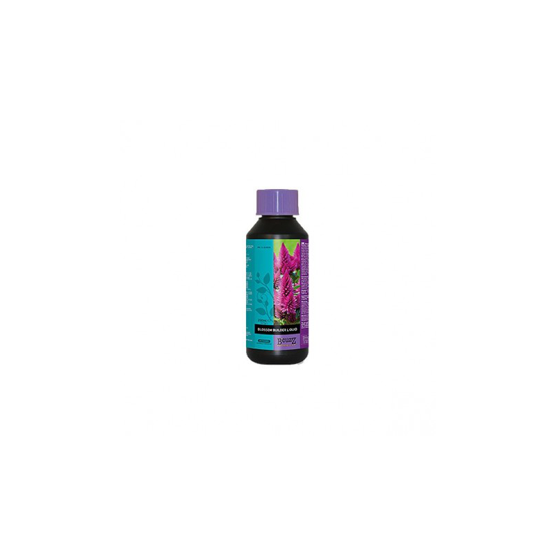 Blossom builder 1 l atami
