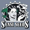 Sensi seeds